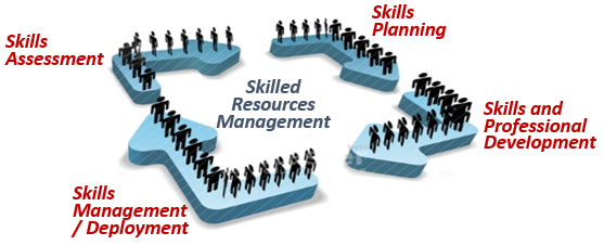 Insight - Skilled Resources Management